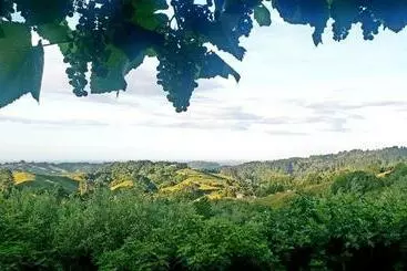 ベッドアンドブレックファースト 9 Senses Wellness Retreat