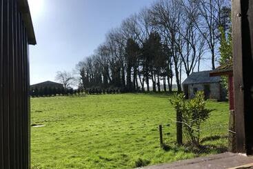 هتل کپسول Le Petit Zen