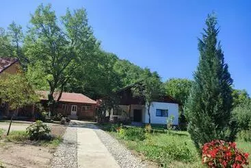 ペンション Dumbrava Minunată