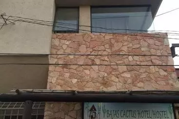 Baja S Cactus Hostel