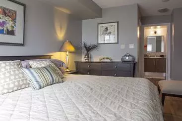 Hotelli Jj Furnished Apartments Downtown Toronto: Element