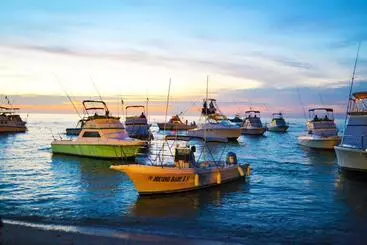 호텔 Palmas De Cortez