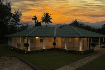 Hotel The Estate 1920