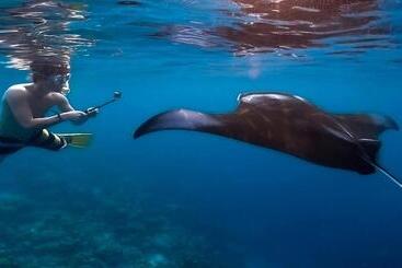 هتل Thoddoo Garden Inn