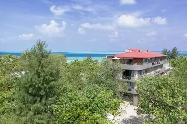 هتل Ayala Ocean View