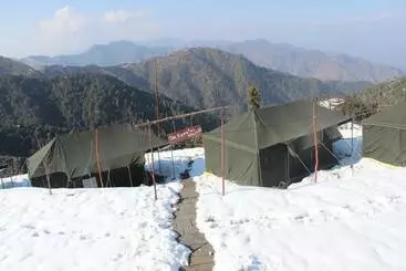 The Kanatal Orchids, Kanatal