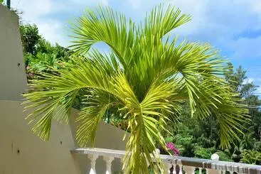 Pensão Villa Anse La Blague