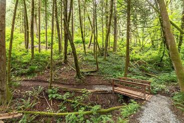 Mount Vernon Rv Campground