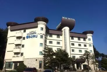 Hotel Mgm