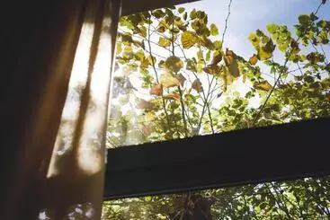 ホテル Casa El Rápido