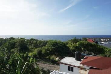 پانسیون Palm Palace At Rockville