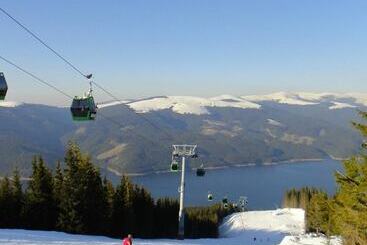 פנסיון Petroshani