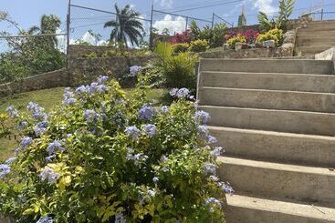 Pensione Poinciana House