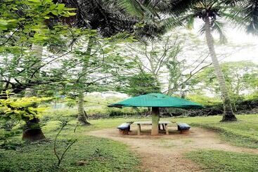 Hotel Jungle Paradise Farm & Guest House