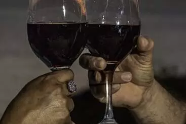 ホテル Villas Del Sol