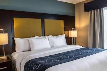 فندق Comfort Suites Fort Lauderdale Airport South & Cruise Port