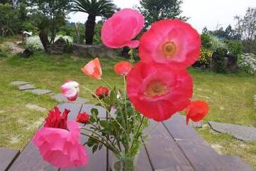 Seogwipo Soesokkak Cheonil Pension