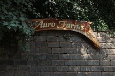 Отель Auro Farms