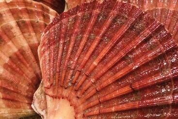 コテージ Kirkapol Beach Pod   Ebb