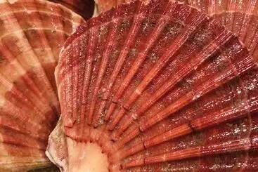 Casa Rural Kirkapol Beach Pod   Ebb