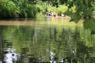 Aamiaismajoitus (B&B) Mary S Land Farm