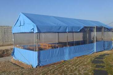 Hongseong Nemo Pension