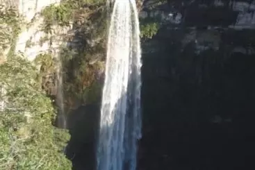 ホテル Palace Avenida