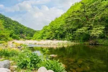 Danyang Eowoolim Pension