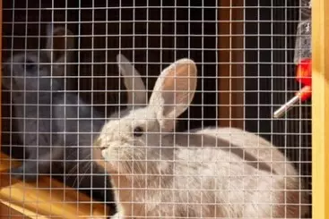 Namhae German Village Hercules Pension