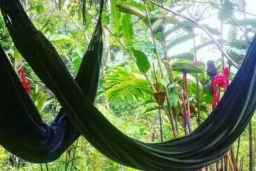 Hotel Tropical Biohostel By Rotamundos