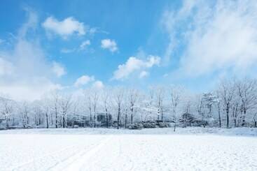 هتل Hoshino Resorts Risonare Nasu