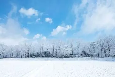 Hotel Hoshino Resorts Risonare Nasu