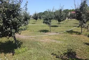 Lantligt Hotell Salaš Farma 47 Miris Dunja