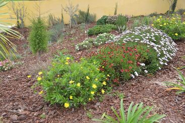 بنسيون Quinta Vitae