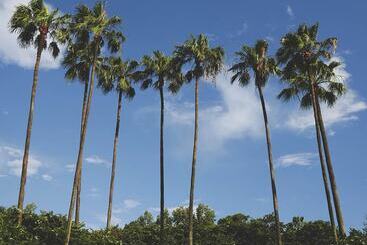 茅舍 Villa In Encore Resort At Reunion 3458