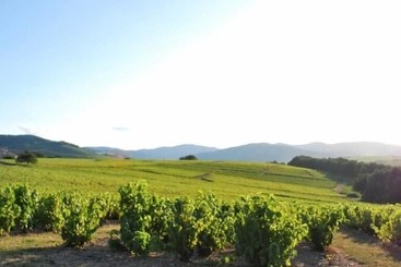 بنسيون A La Belle Epoque