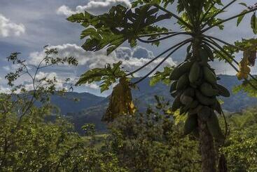 Eco Hotel Tierra De Agua