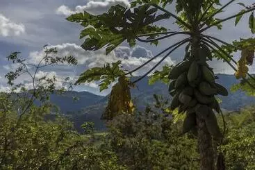 Eco Hotel Tierra De Agua