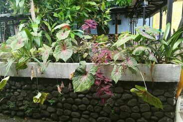 هتل Y Restaurante Paradise