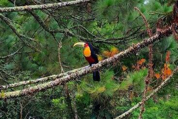 酒店 Casa Fazenda Inglesa