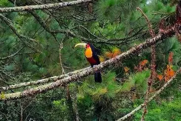 ホテル Casa Fazenda Inglesa