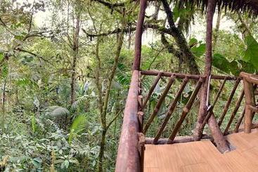 Hotel El Edén Treehouse