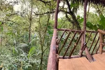 Hotel El Edén Treehouse