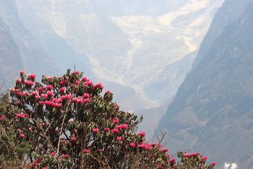 هتل Thanka Inn Gokyo