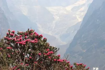 هتل Thanka Inn Gokyo