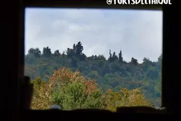 コテージ Yurt In Puyehue With Volcano Views