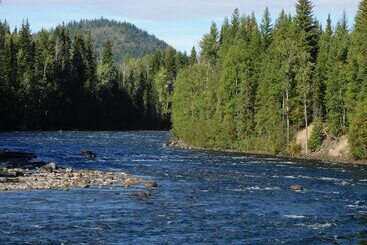 Blue Grouse Country Inn Bed & Breakfast