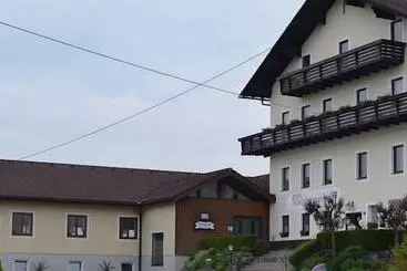 Hotel Franz Stelzhamerhof