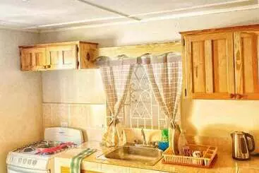 Majatalo Areca Palms