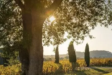 Majatalo Château Toulouse Lautrec Malromé